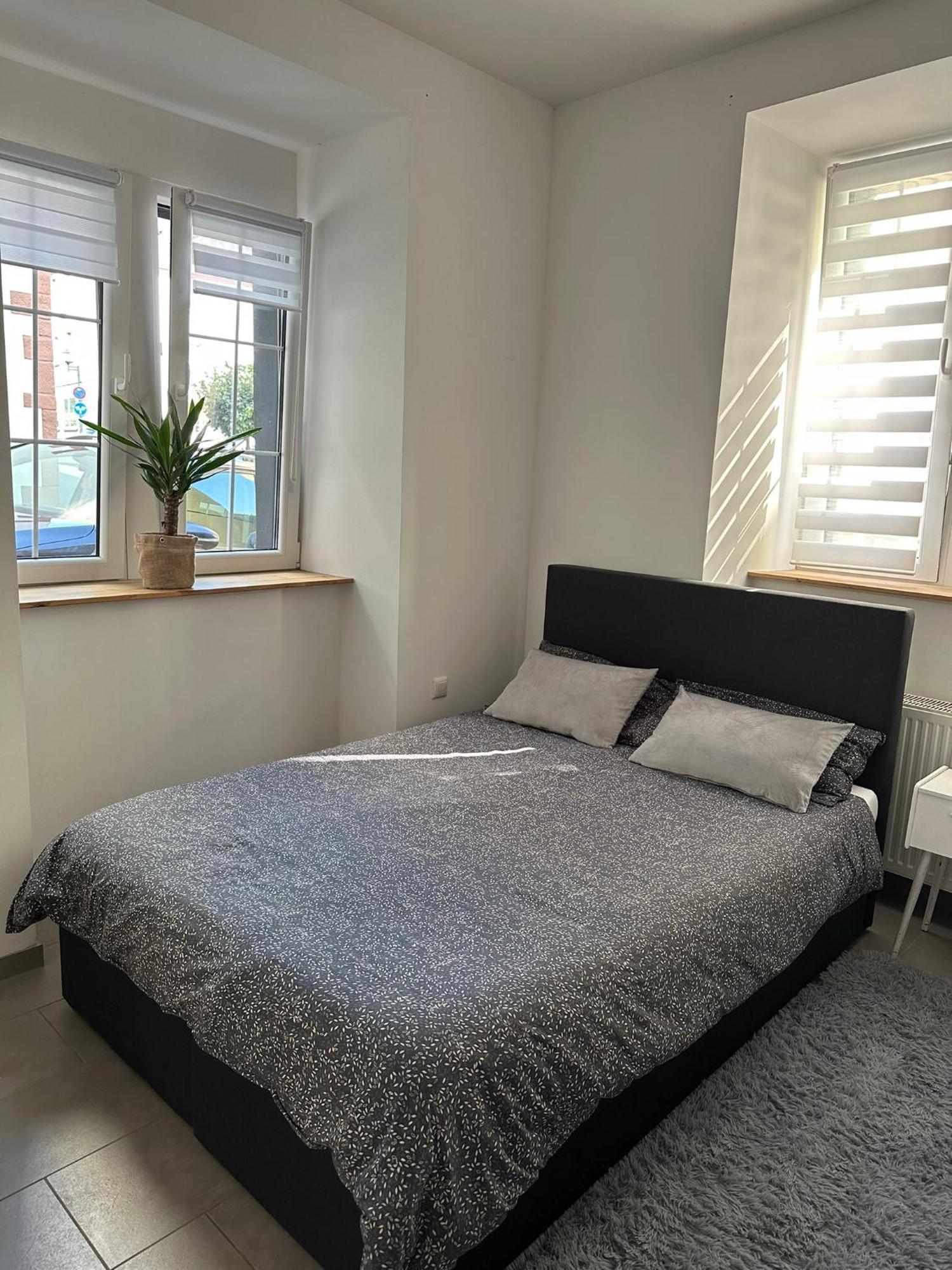 Ferienwohnung Louis 盖罗尔施泰因 外观 照片